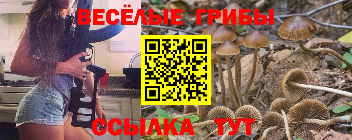 Миллерово  купить закладку  Галлюциногенные грибы Magic Shrooms  Вход с VPN  Галлюциногенные грибы MAGIC MUSHROOMS 