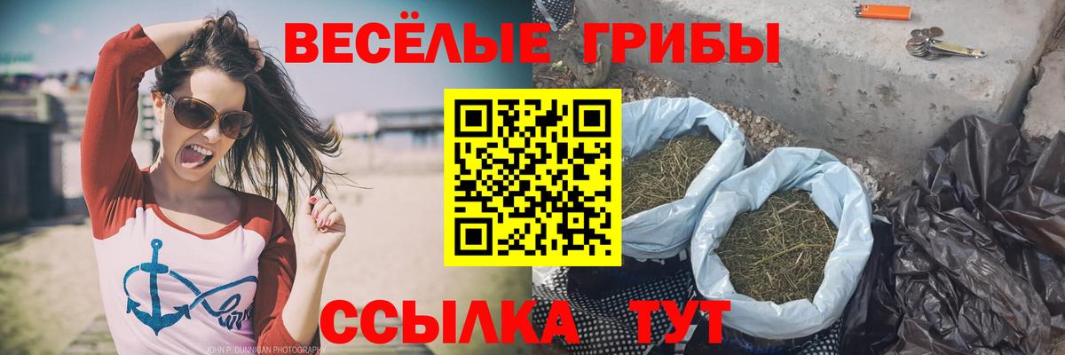 Галлюциногенные грибы GOLDEN TEACHER Миллерово